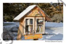 Library Tiny #4173
