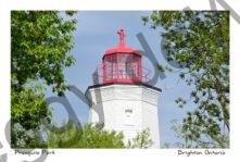 Lighthouse Presquile Red Roof #4525