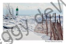 Lighthouse Wellington Fence Winter #4261