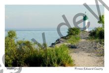 Lighthouse Wellington Path #3927