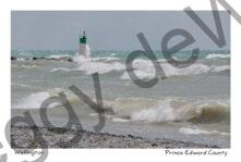 Lighthouse Wellington Strong Waves #3928