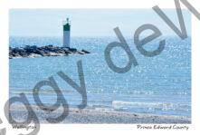 Lighthouse Wellington Sunny #4260