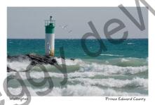 Lighthouse Wellington Two Birds #3285