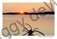 Little Bluff Sunrise Sticks #3593