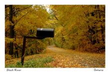 Mailbox Black #1186