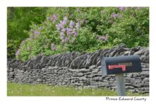 Mailbox Lilacs #3754