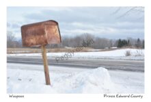 Mailbox Rusty #3757