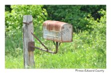 Mailbox Rusty Northport #3301