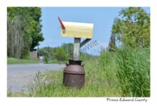 Mailbox Yellow #3759