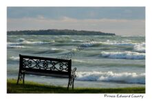 North Beach Bench #2574