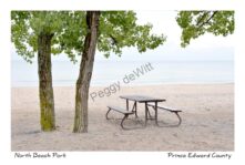 North Beach Cloudy #4174