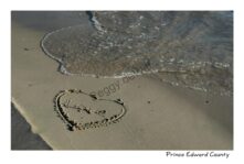 North Beach Heart 2 #1187