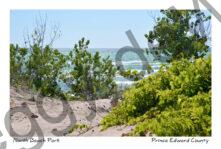 North Beach Sand Water #4078