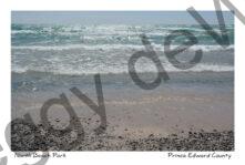 North Beach Shore #3933