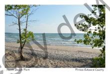 North Beach Shore #4275