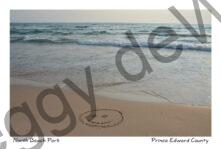 North Beach Smile #4277