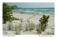 North Beach Summer #1563