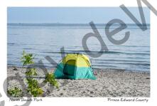 North Beach Tent #4384