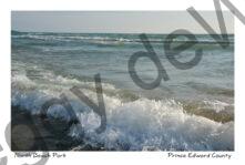 North Beach Waves #4278