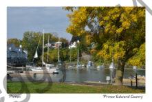 Picton Harbour Fall #3306