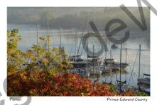 Picton Harbour Misty Fall #3309