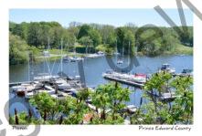 Picton Harbour Spring #3763