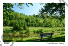 Picton Macaulay Conservation Bench #3952