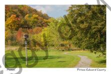 Picton Macaulay Mountain Path Fall 2 #2592
