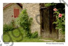 Picton Stone Walls #678