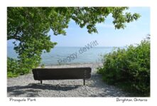 Presquile Bench View #4696