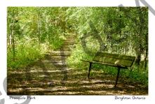 Presquile Lane Bench #4388