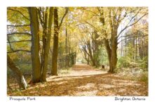 Presquile Lane Fall Sunny #4283