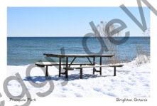 Presquile Picnic Table Winter #4544