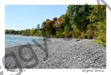 Presquile Shore Pebbles #4289