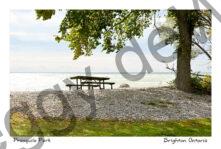 Presquile Shore Picnic Table #4290