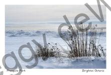 Presquile Shore Winter #4711