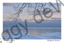 Presquile Snow and Ice Winter #4545