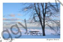 Presquile Table Tree Winter #4547