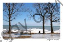 Presquile Table and Trees Winter #4548