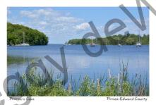 Prinyers Cove Boats Sailing #4082