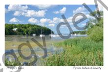 Prinyers Cove Clouds #3600