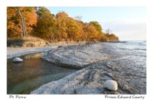 Pt Petre Fall Shore #4582