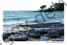 Pt Petre Shiny Rocks #3938