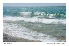 Pt Petre Shore Summer #3351