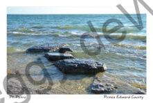 Pt Petre Stepping Stones #3774