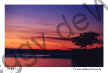 Pt Petre Sunset #160