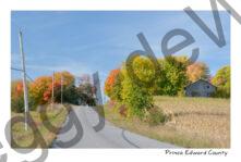 Road Bethel Fall Hill #3942