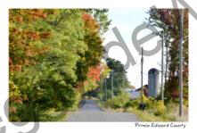 Road Bethel Fall Silo #3941