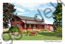 Rose Museum Fall #3944