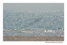 Sandbanks Beach Sparkling #3327